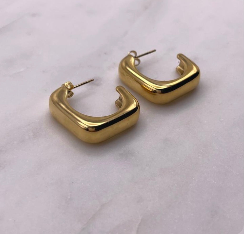 Gold Women Earrings